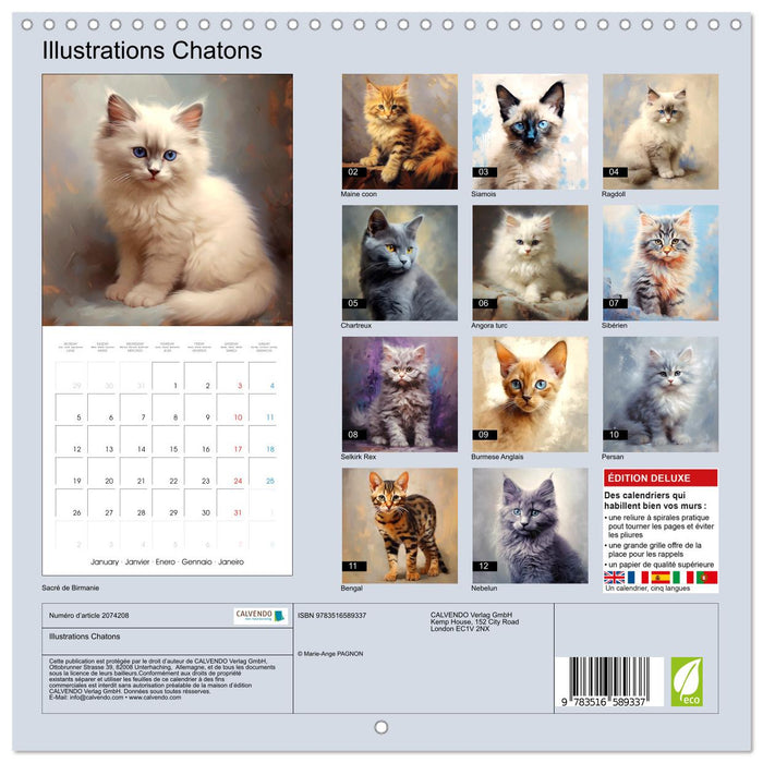 Illustrations Chatons (CALVENDO Calendrier mensuel 2026)