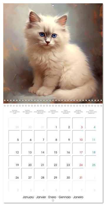 Illustrations Chatons (CALVENDO Calendrier mensuel 2026)