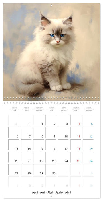 Illustrations Chatons (CALVENDO Calendrier mensuel 2026)