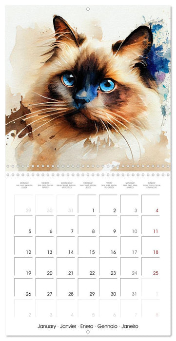 Artistic Cat Breeds (CALVENDO Monthly Calendar 2026)