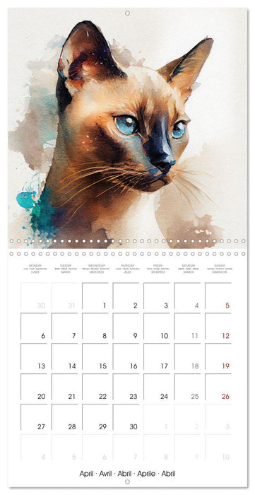 Artistic Cat Breeds (CALVENDO Monthly Calendar 2026)