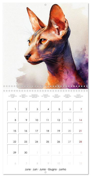 Artistic Cat Breeds (CALVENDO Monthly Calendar 2026)
