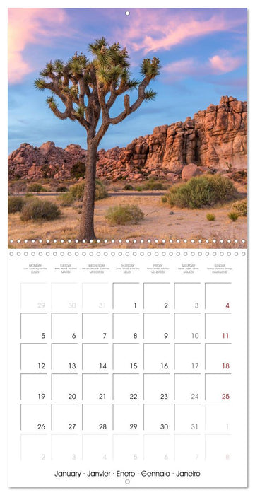 US HIGHLIGHTS Urban views and scenery (CALVENDO Monthly Calendar 2026)