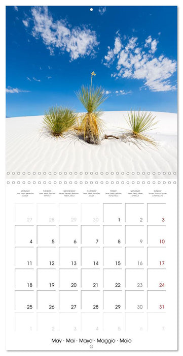 US HIGHLIGHTS Urban views and scenery (CALVENDO Monthly Calendar 2026)