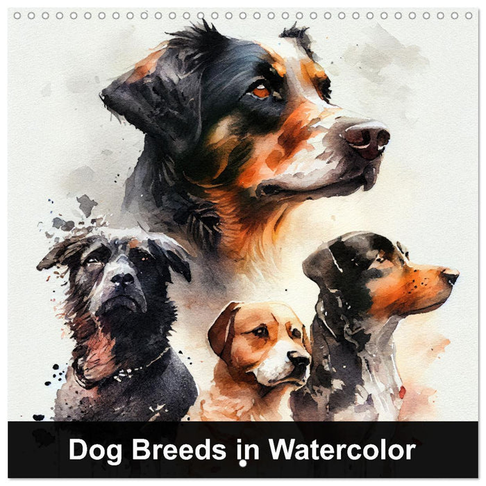 Dog Breeds in Watercolor (CALVENDO Monthly Calendar 2026)