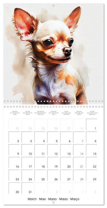 Dog Breeds in Watercolor (CALVENDO Monthly Calendar 2026)