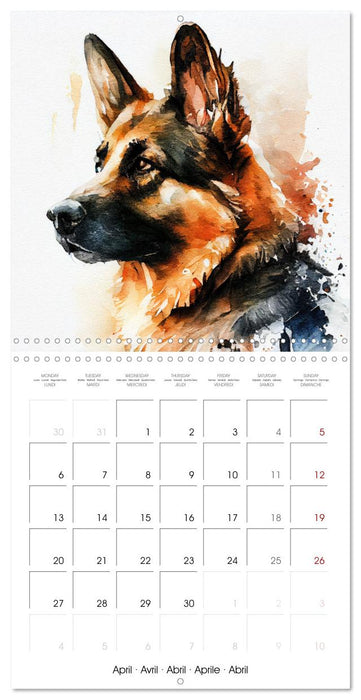 Dog Breeds in Watercolor (CALVENDO Monthly Calendar 2026)
