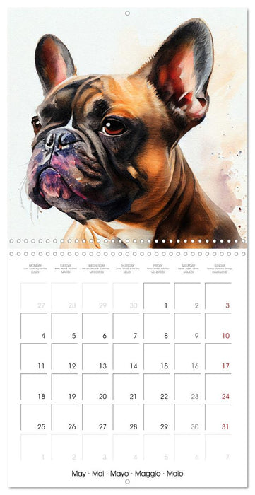 Dog Breeds in Watercolor (CALVENDO Monthly Calendar 2026)