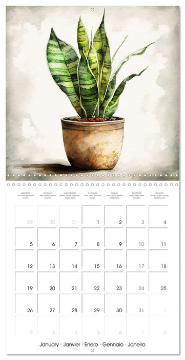The Art of House Plants (CALVENDO Monthly Calendar 2026)