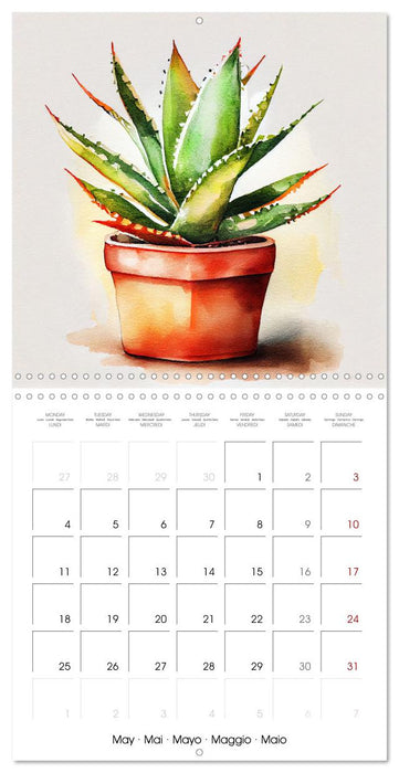 The Art of House Plants (CALVENDO Monthly Calendar 2026)