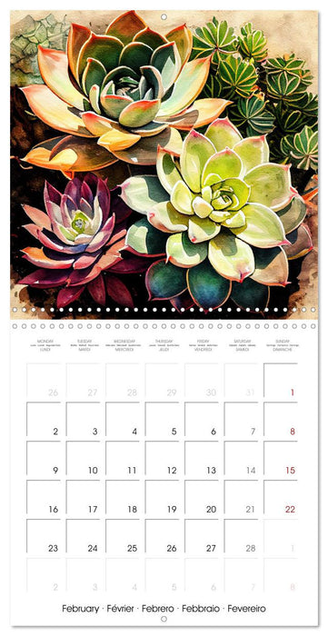 The Art of Succulents and Cacti (CALVENDO Monthly Calendar 2026)