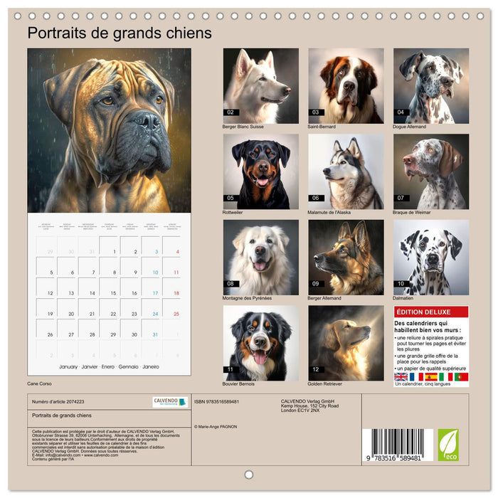 Portraits de grands chiens (CALVENDO Calendrier mensuel 2026)