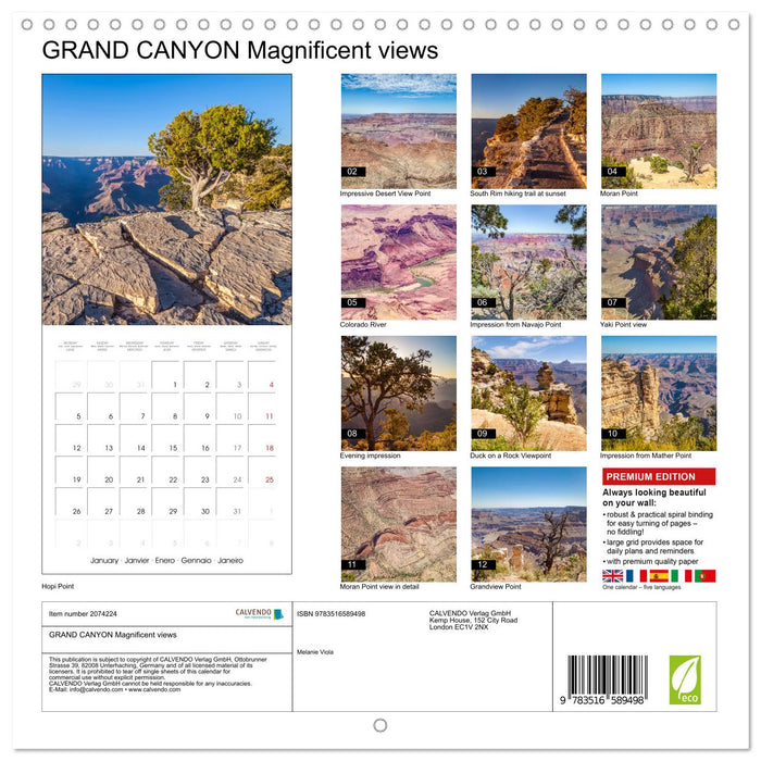 GRAND CANYON Magnificent views (CALVENDO Monthly Calendar 2026)