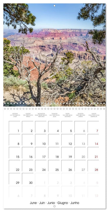 GRAND CANYON Magnificent views (CALVENDO Monthly Calendar 2026)