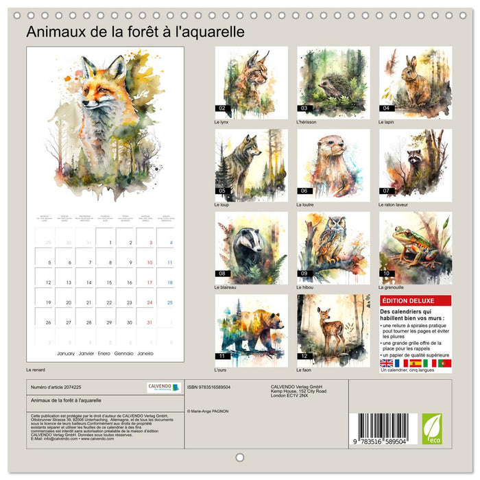 Animaux de la forêt à l'aquarelle (CALVENDO Calendrier mensuel 2026)