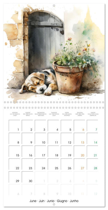 Regard sur la ferme (CALVENDO Calendrier mensuel 2026)