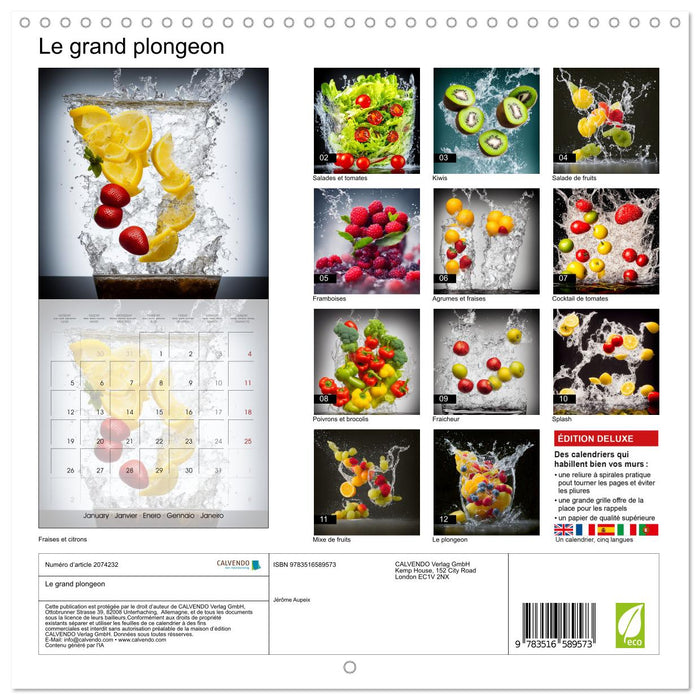 Le grand plongeon (CALVENDO Calendrier mensuel 2026)