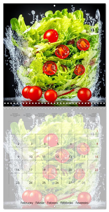 Le grand plongeon (CALVENDO Calendrier mensuel 2026)