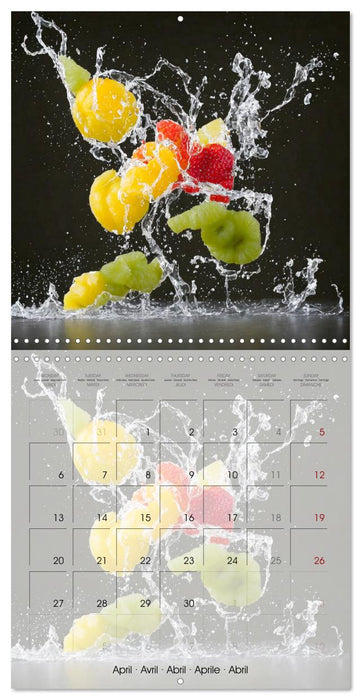 Le grand plongeon (CALVENDO Calendrier mensuel 2026)