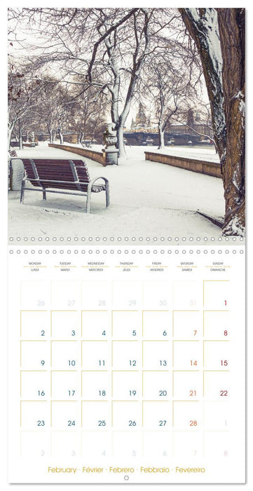 Romantic Dresden (CALVENDO Monthly Calendar 2026)