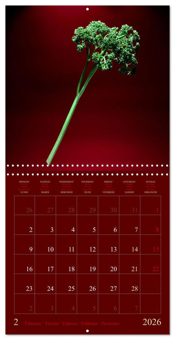 Les légumes hauts en couleur (CALVENDO Calendrier mensuel 2026)