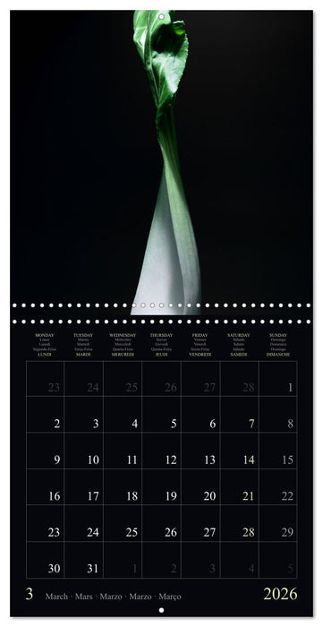 Les légumes hauts en couleur (CALVENDO Calendrier mensuel 2026)