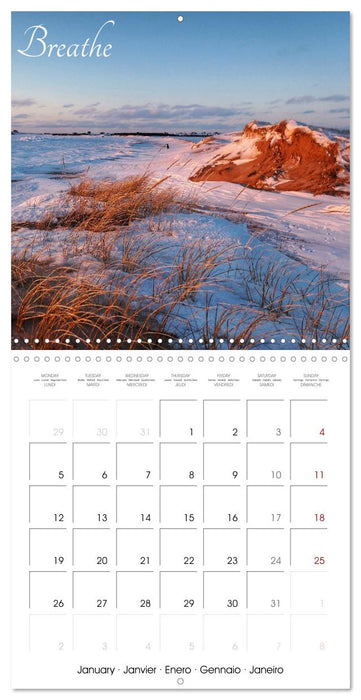 Relaxing Nature (CALVENDO Monthly Calendar 2026)