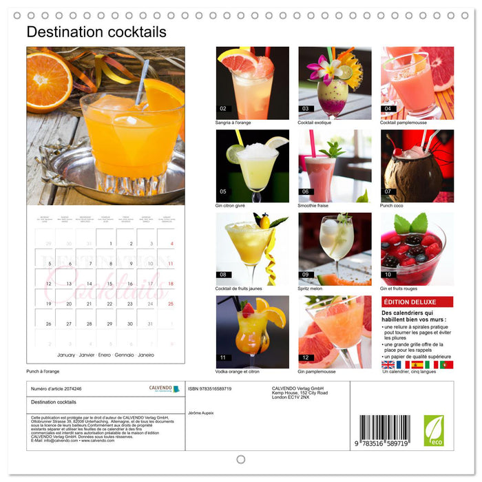 Destination cocktails (CALVENDO Calendrier mensuel 2026)