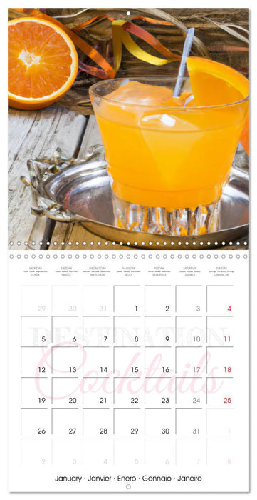 Destination cocktails (CALVENDO Calendrier mensuel 2026)