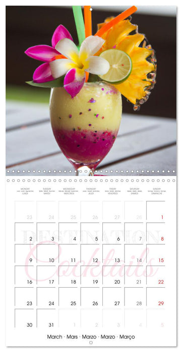 Destination cocktails (CALVENDO Calendrier mensuel 2026)