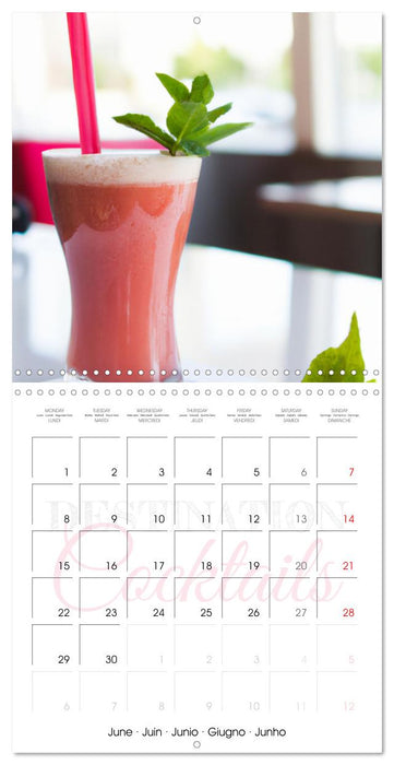 Destination cocktails (CALVENDO Calendrier mensuel 2026)
