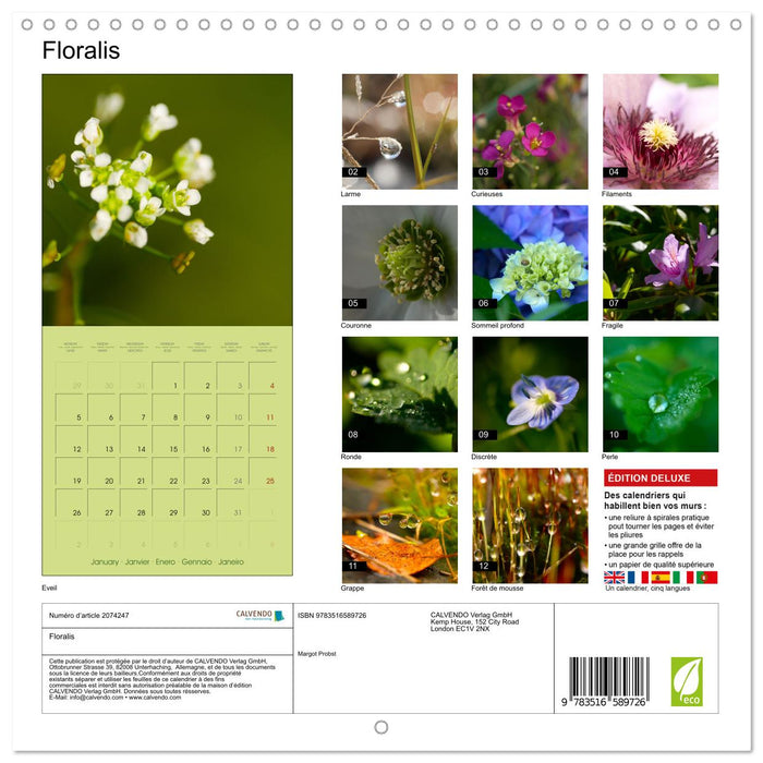 Floralis (CALVENDO Calendrier mensuel 2026)