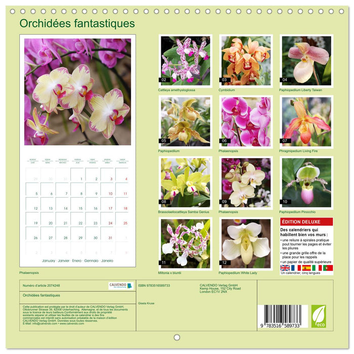 Orchidées fantastiques (CALVENDO Calendrier mensuel 2026)