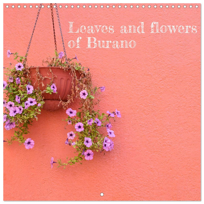 Leaves and flowers of Burano (CALVENDO Monthly Calendar 2026)