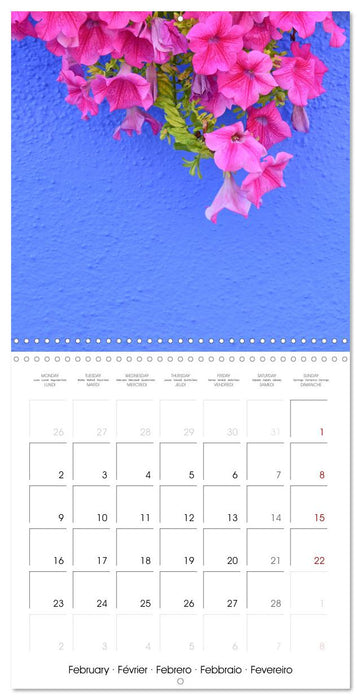 Leaves and flowers of Burano (CALVENDO Monthly Calendar 2026)
