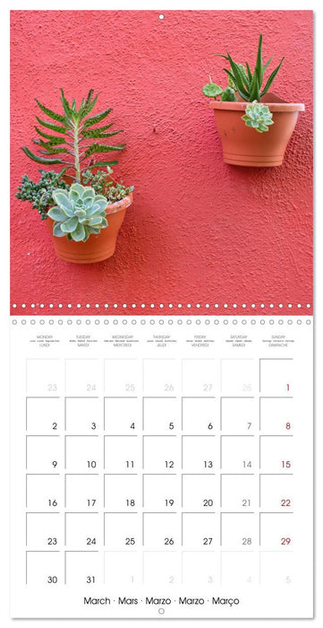 Leaves and flowers of Burano (CALVENDO Monthly Calendar 2026)