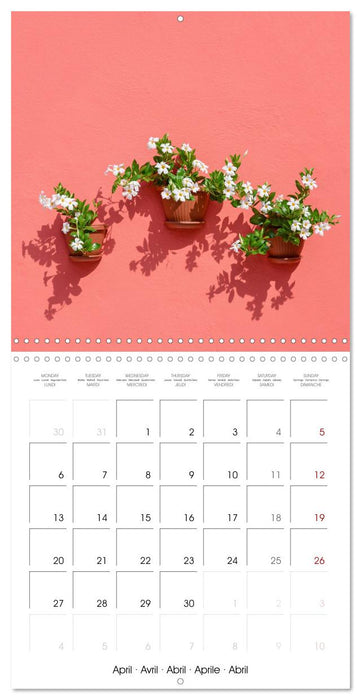 Leaves and flowers of Burano (CALVENDO Monthly Calendar 2026)