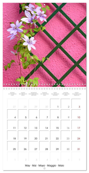 Leaves and flowers of Burano (CALVENDO Monthly Calendar 2026)