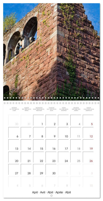Wildenberg Castle (CALVENDO Monthly Calendar 2026)