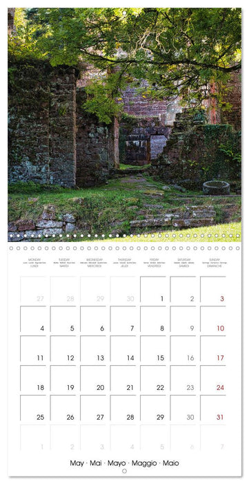Wildenberg Castle (CALVENDO Monthly Calendar 2026)