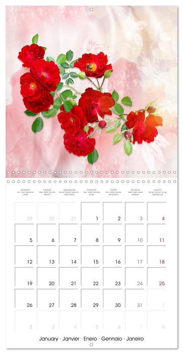 Sheer joy (CALVENDO Monthly Calendar 2026)