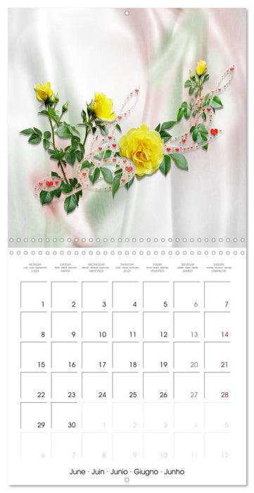 Sheer joy (CALVENDO Monthly Calendar 2026)