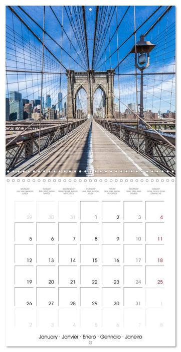 NEW YORK CITY Urban impressions (CALVENDO Monthly Calendar 2026)