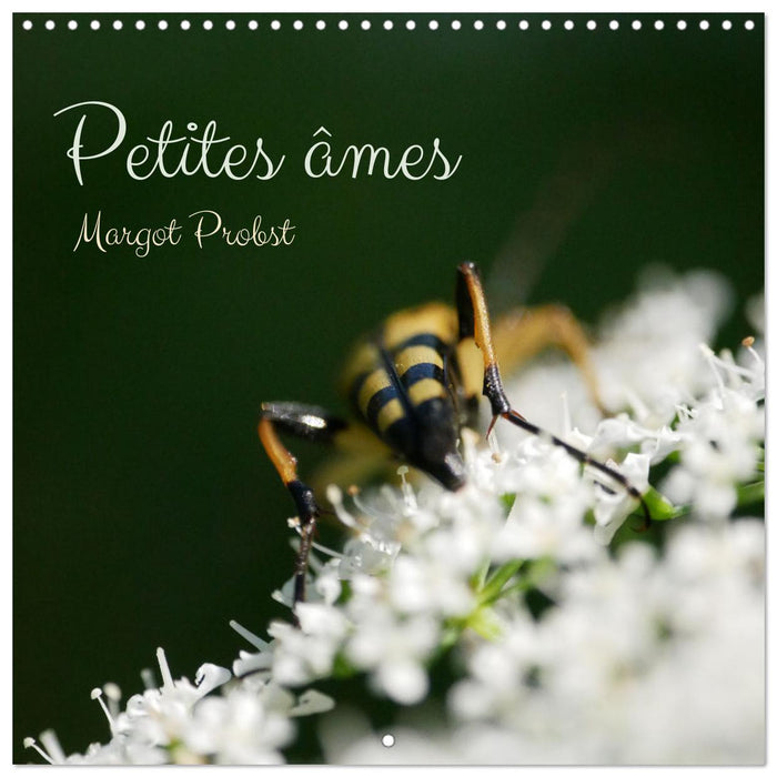 Petites âmes (CALVENDO Calendrier mensuel 2026)