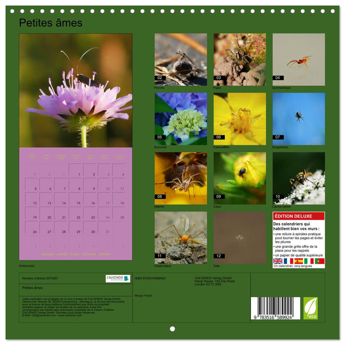 Petites âmes (CALVENDO Calendrier mensuel 2026)