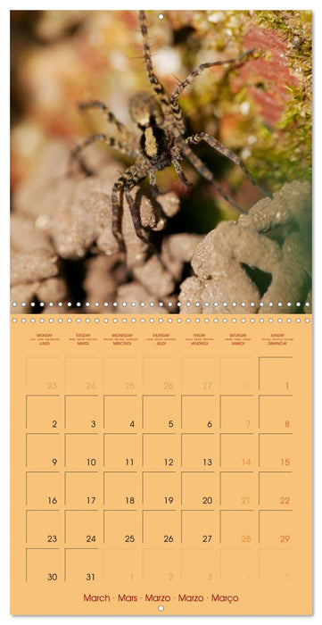 Petites âmes (CALVENDO Calendrier mensuel 2026)