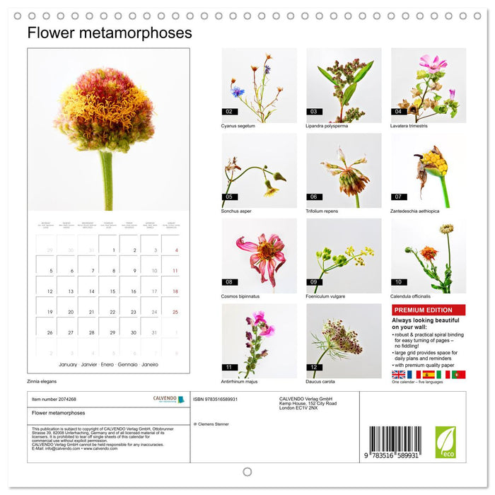 Flower metamorphoses (CALVENDO Monthly Calendar 2026)
