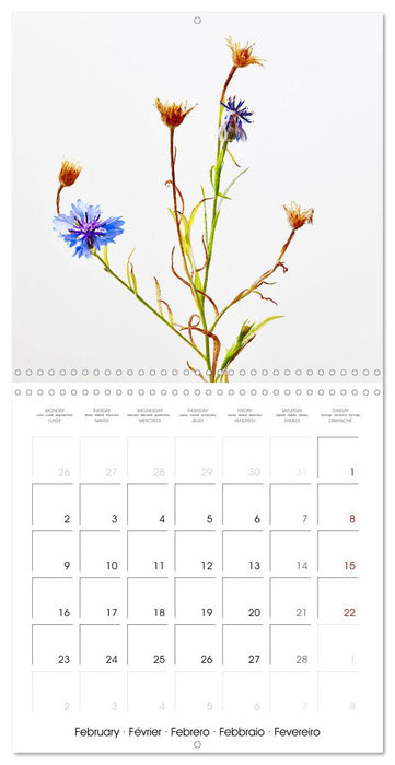 Flower metamorphoses (CALVENDO Monthly Calendar 2026)