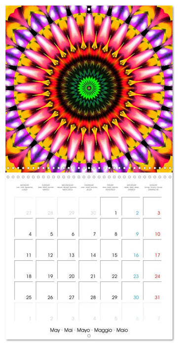 Invitation au voyage introspectif (CALVENDO Calendrier mensuel 2026)