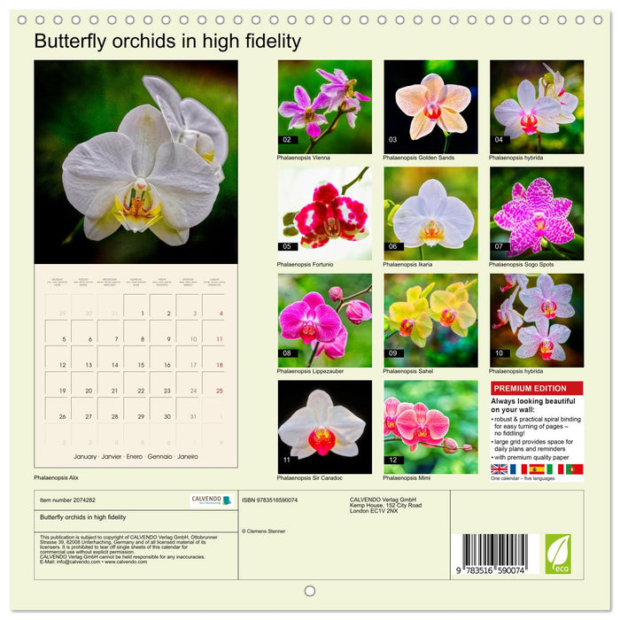 Butterfly orchids in high fidelity (CALVENDO Monthly Calendar 2026)